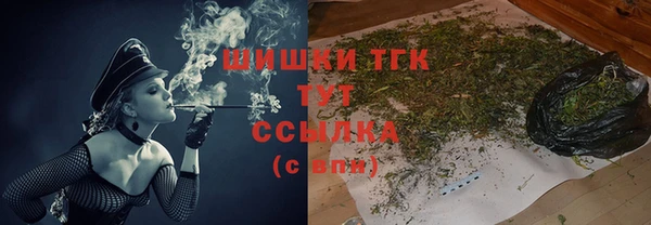дмт Новозыбков