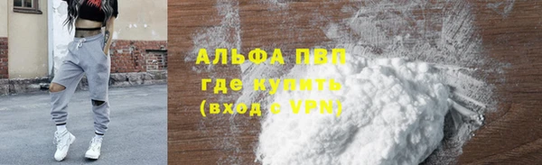 spice Новодвинск