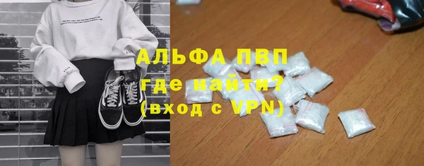 spice Новодвинск