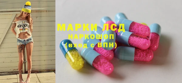 spice Новодвинск