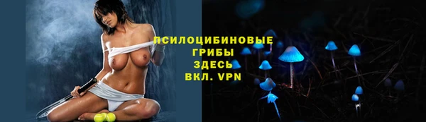 дмт Новозыбков