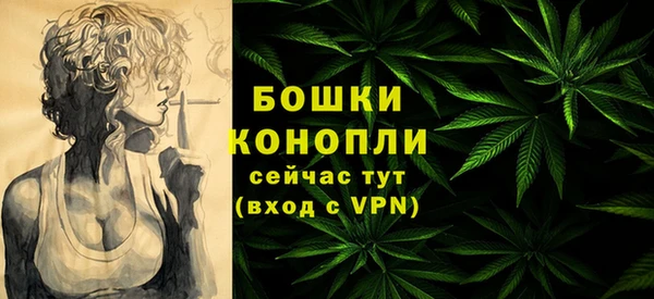 дмт Новозыбков