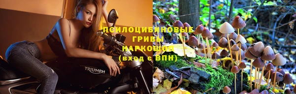 кристаллы Нефтекумск
