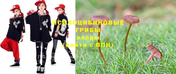 дмт Новозыбков