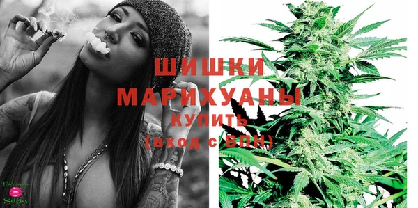 spice Новодвинск