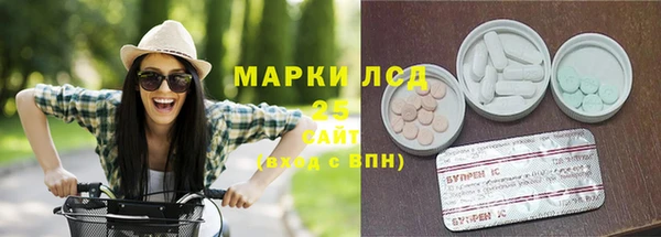 spice Новодвинск