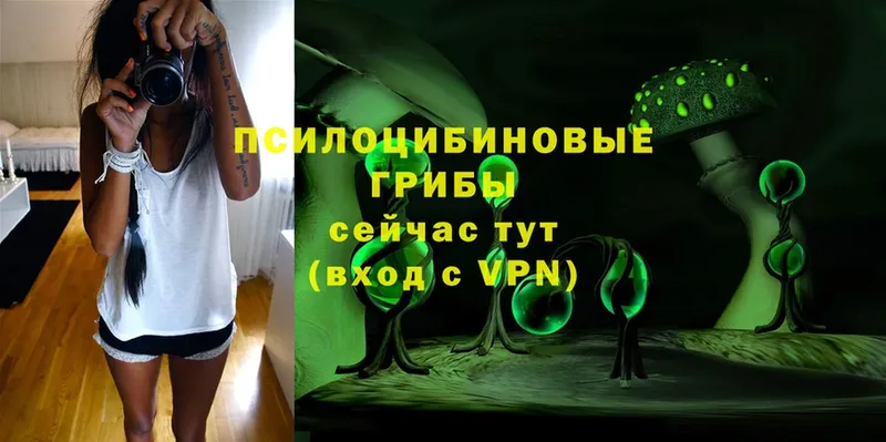 нарко площадка наркотические препараты  Кизел  Псилоцибиновые грибы Magic Shrooms  как найти закладки 