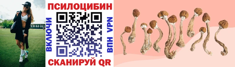 Псилоцибиновые грибы прущие грибы  гидра   Кизел  мориарти наркотические препараты  даркнет сайт 